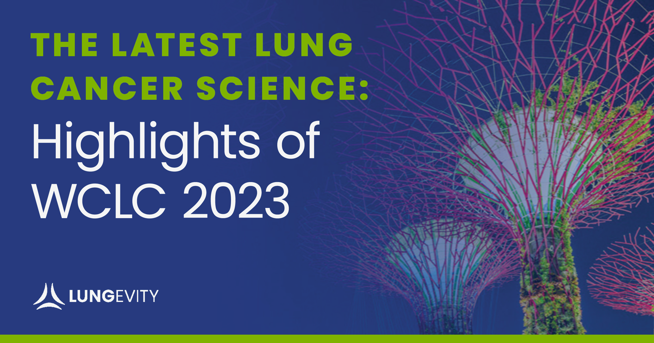 Banner graphic - Highlights of WCLC 2023