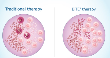 cancer cells under microscope